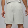 Шорти чоловічі Air jordan Df Sprt Mesh Grey FN5816-034