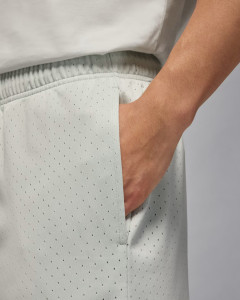 Шорти чоловічі Air jordan Df Sprt Mesh Grey FN5816-034