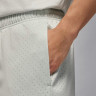Шорти чоловічі Air jordan Df Sprt Mesh Grey FN5816-034