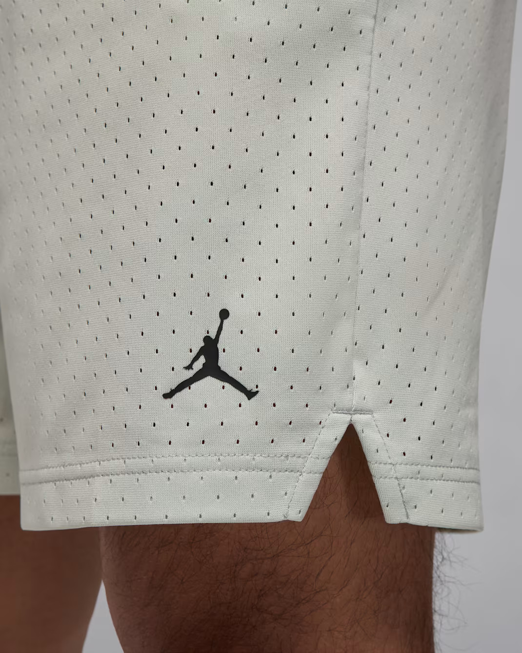 Шорти чоловічі Air jordan Df Sprt Mesh Grey FN5816-034