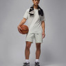 Шорти чоловічі Air jordan Df Sprt Mesh Grey FN5816-034