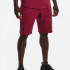 Шорти UA RIVAL TERRY SHORT 1361631-665 Under Armour L Бордовий 1361631-665