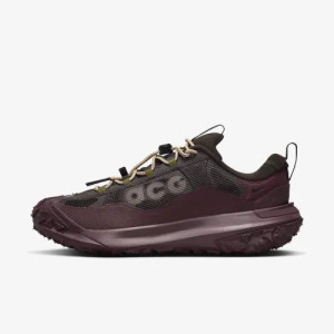Кросівки Nike ACG Mountainfly Low 2 Gore-tex "Velvet Brown/Burgundy Crush" HF6245-200