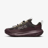 Кросівки Nike ACG Mountainfly Low 2 Gore-tex "Velvet Brown/Burgundy Crush" HF6245-200