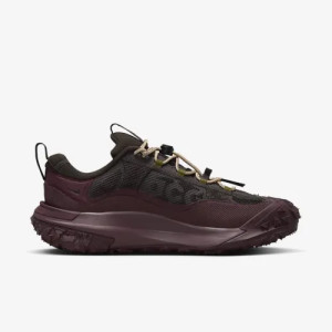Кросівки Nike ACG Mountainfly Low 2 Gore-tex "Velvet Brown/Burgundy Crush" HF6245-200