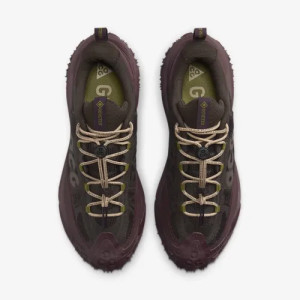 Кросівки Nike ACG Mountainfly Low 2 Gore-tex "Velvet Brown/Burgundy Crush" HF6245-200