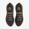 Кросівки Nike ACG Mountainfly Low 2 Gore-tex "Velvet Brown/Burgundy Crush" HF6245-200