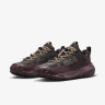 Кросівки Nike ACG Mountainfly Low 2 Gore-tex "Velvet Brown/Burgundy Crush" HF6245-200