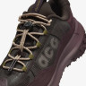 Кросівки Nike ACG Mountainfly Low 2 Gore-tex "Velvet Brown/Burgundy Crush" HF6245-200