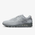 Кросівки Nike AIR MAX 90 FJ4218-002