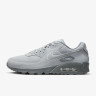Кросівки Nike AIR MAX 90 FJ4218-002