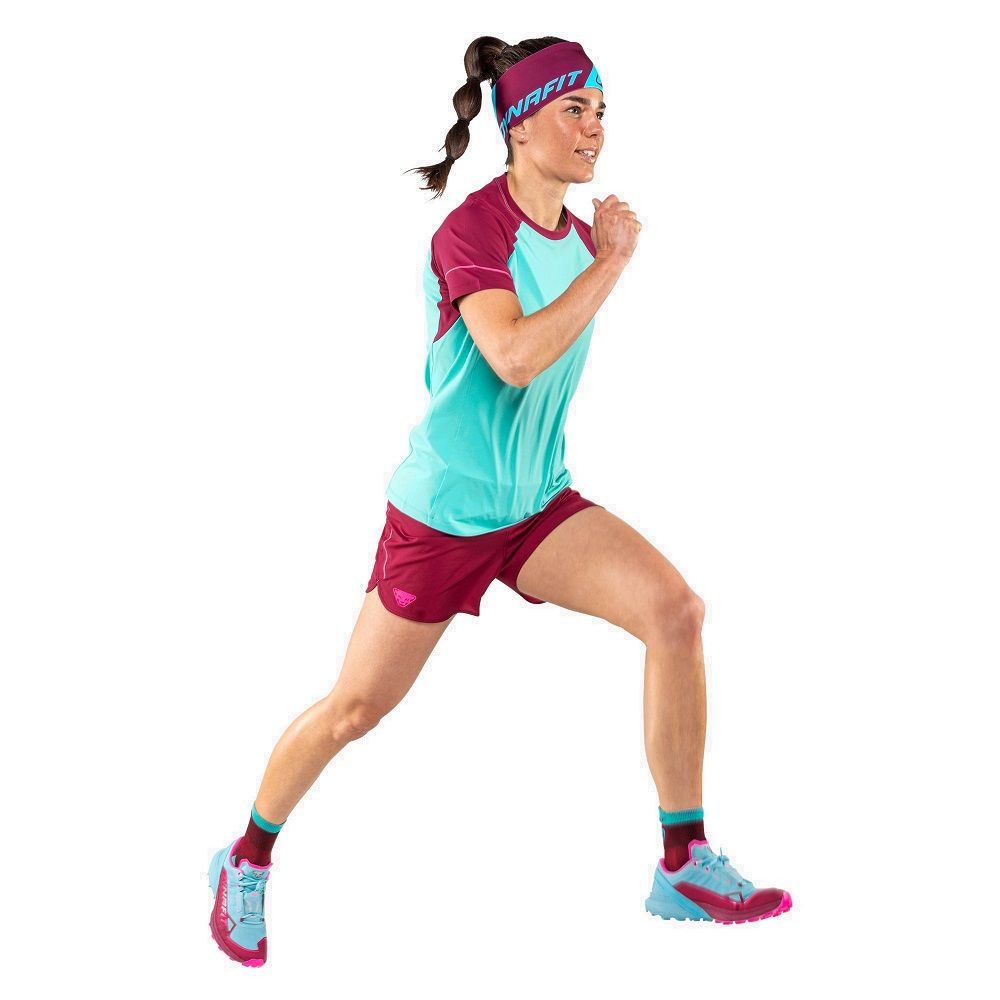 Шкарпетки Dynafit Transalper Socks 016.002.1801