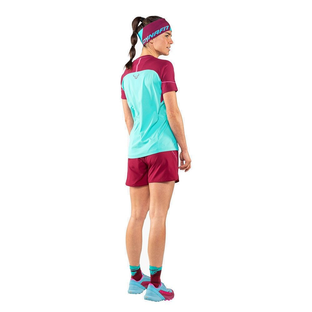 Шкарпетки Dynafit Transalper Socks 016.002.1801