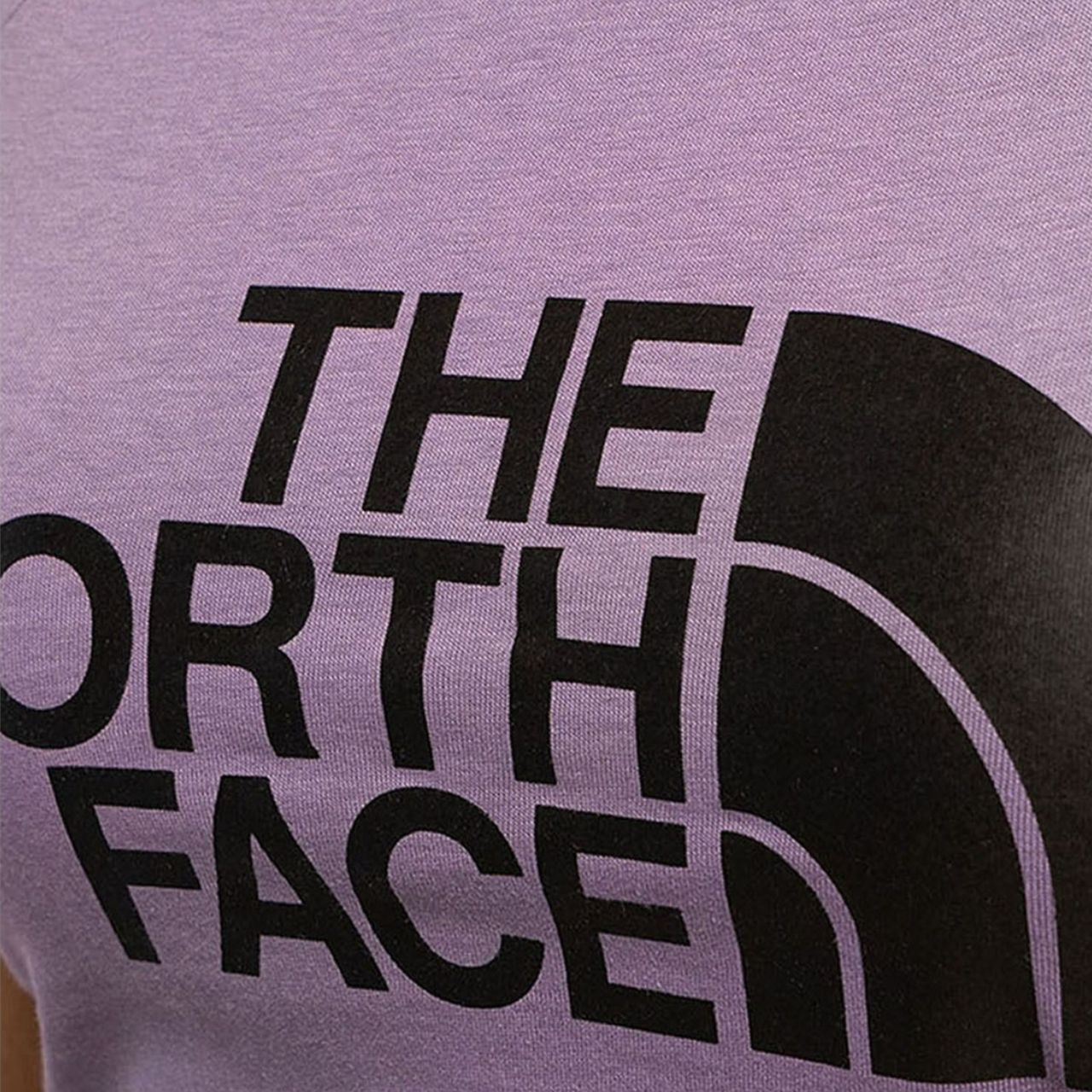 Футболка The North Face W S/S EASY TEE NF0A4T1QN141 NF0A4T1QN141