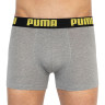 Труси-боксери Puma STATEMENT BOXER 2P жовтий, сірий Чол L 501006001-020