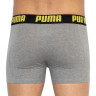 Труси-боксери Puma STATEMENT BOXER 2P жовтий, сірий Чол L 501006001-020