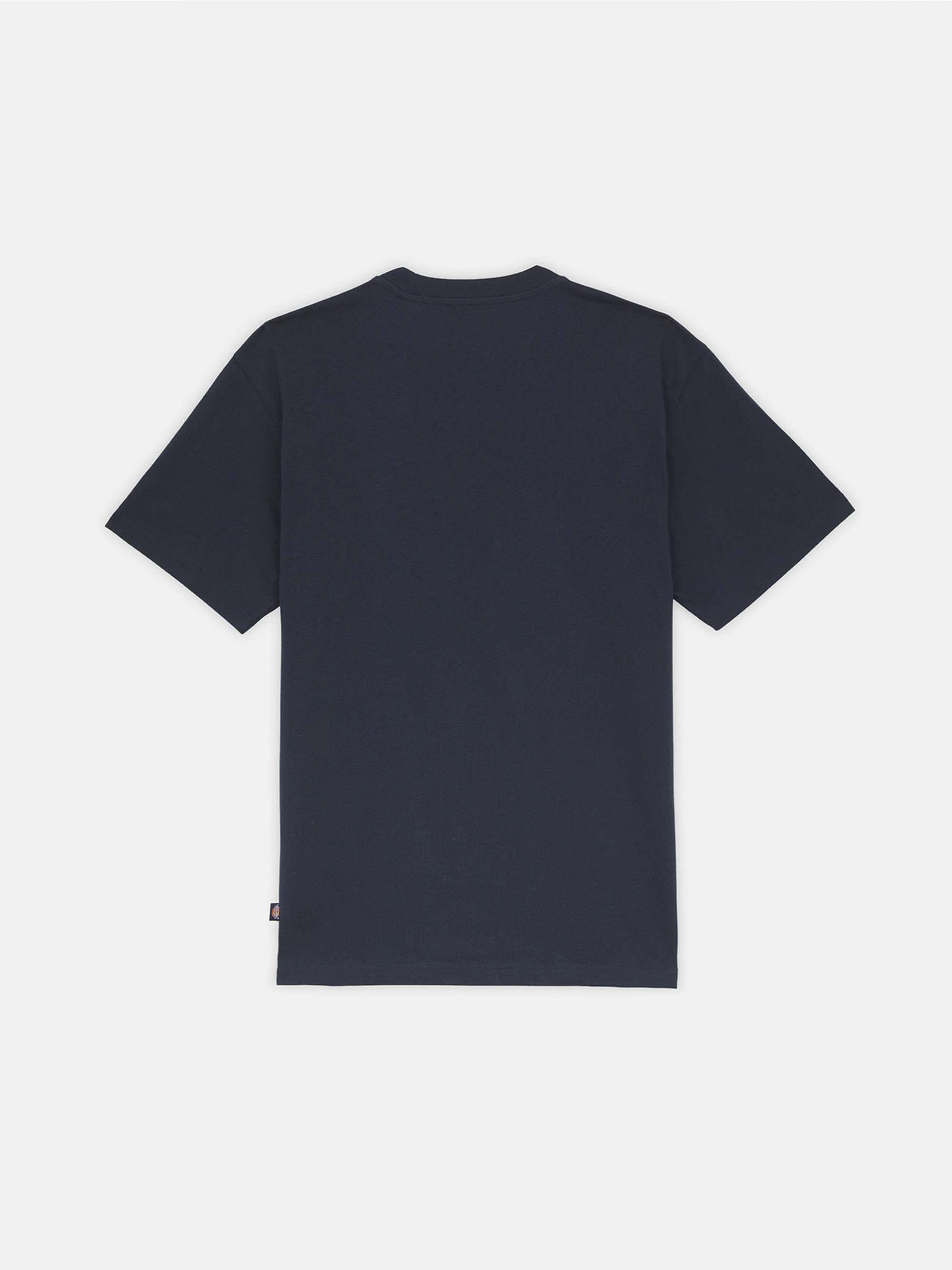Футболка Dickies SUMMERDALE SS TEE DK0A4YAIDNX1