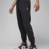 Штани JORDAN M J FLT MVP HBR FLC PANT FN6356-010