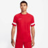 Футболка Nike Dri-FIT Academy CW6101-658
