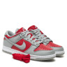 Кросівки Nike Dunk Low Grey/Red FQ6965-600