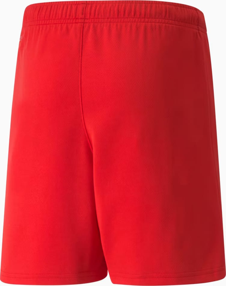 Шорти Puma teamRISE Short Jr червоний 140 см (704943-01) 704943-01