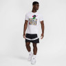 Футболка Nike M DF TEE BBALL OC HQ0023-100