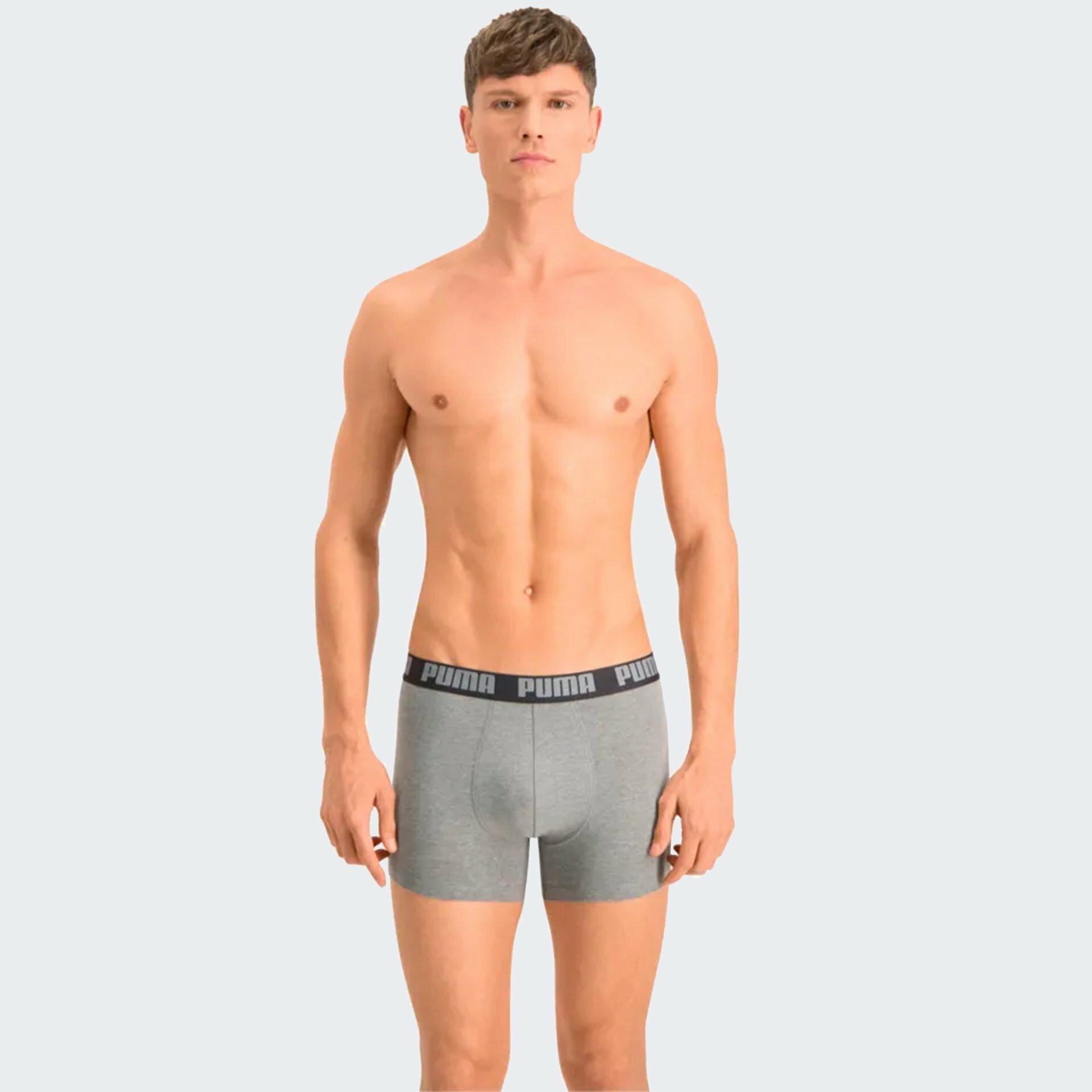 Труси Нижня білизна чоловіча Puma Basic Boxer (2 шт) 906823-05