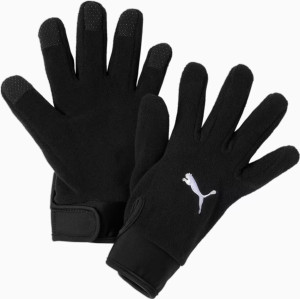 Рукавиці Puma teamLIGA 21 Winter gloves чорний M/L (041706-01) 041706-01