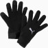 Рукавиці Puma teamLIGA 21 Winter gloves чорний M/L (041706-01) 041706-01