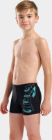 Плавки Шорти для хлопчиків Arena TALES SWIM SHORT чорний, бірюзовий 116 см 009087-508