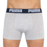 Труси-боксери Puma STATEMENT BOXER 2P синій, сірий Чол L 501006001-010