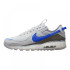 Кросівки Nike Air Max Terrascape 90 DV7413-002