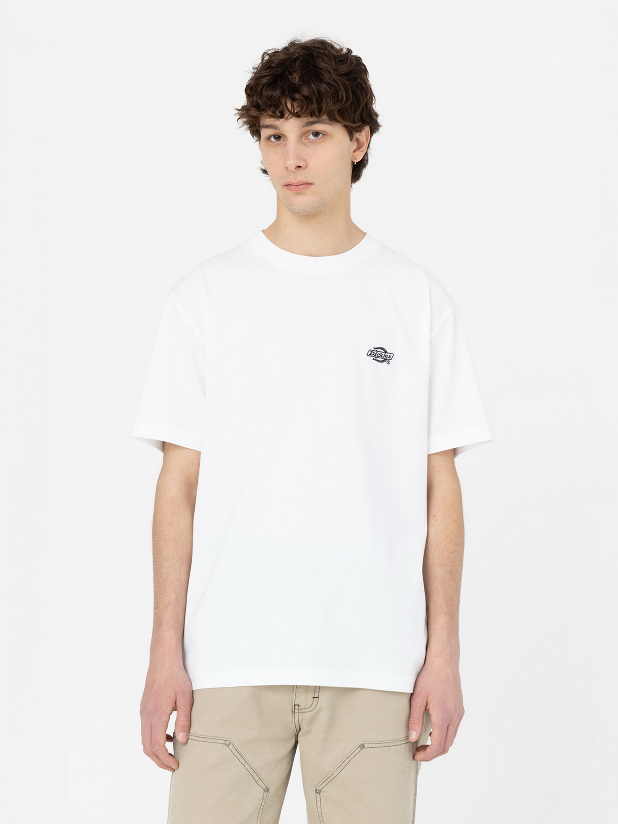Футболка Dickies SUMMERDALE SS TEE DK0A4YAIWHX1