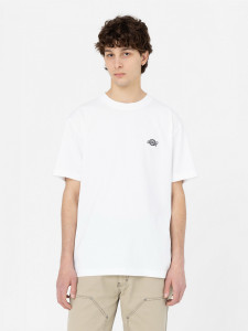 Футболка Dickies SUMMERDALE SS TEE DK0A4YAIWHX1