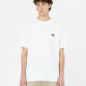 Футболка Dickies SUMMERDALE SS TEE DK0A4YAIWHX1