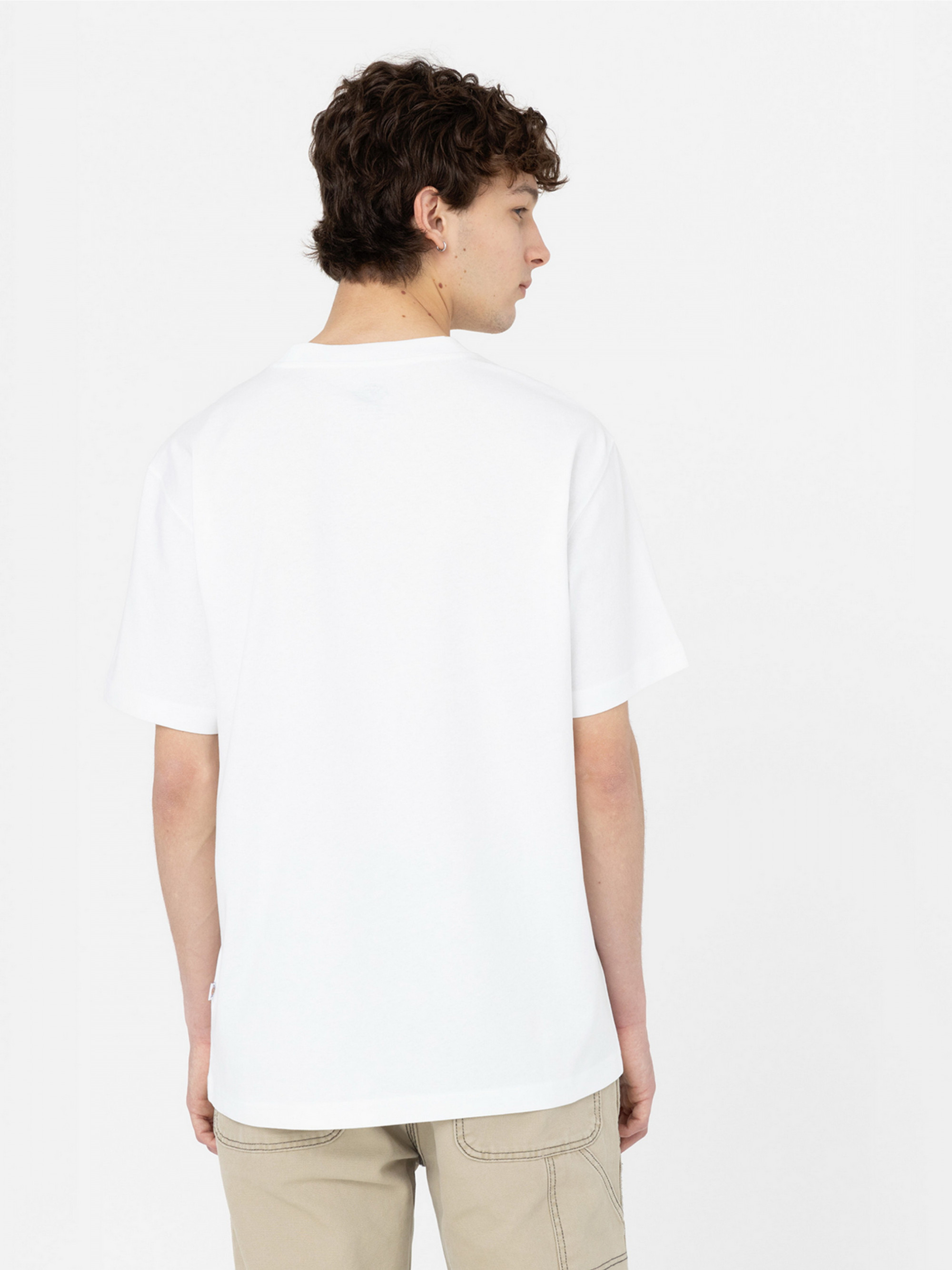 Футболка Dickies SUMMERDALE SS TEE DK0A4YAIWHX1
