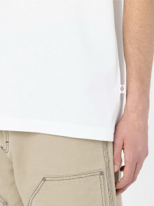 Футболка Dickies SUMMERDALE SS TEE DK0A4YAIWHX1