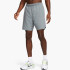 Шорти чоловічі Nike Men's Dri-Fit (DV9357-084) DV9357-084