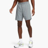 Шорти чоловічі Nike Men's Dri-Fit (DV9357-084) DV9357-084