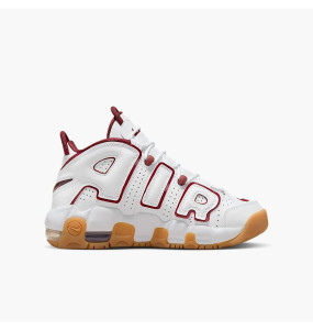 Кросівки Nike Uptempo (GS) FJ2846-100