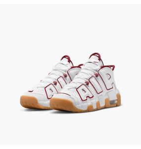 Кросівки Nike Uptempo (GS) FJ2846-100