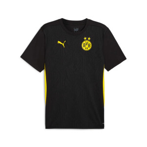 Кофта Puma BVB Training Jersey 777606-02