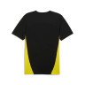 Кофта Puma BVB Training Jersey 777606-02