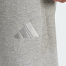 Костюм спортивний Adidas All SZN FL IY4123, IY4148