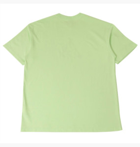 Футболка Nike ACG Dri-FIT Logo Tee Vapor Green FQ3740-376
