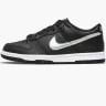 Кросівки Nike Dunk Low NBA 75th Anniversary Spurs (GS) DC9560-001