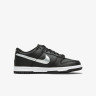 Кросівки Nike Dunk Low NBA 75th Anniversary Spurs (GS) DC9560-001