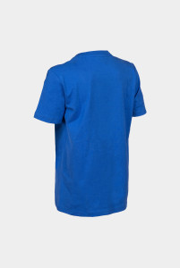 Футболка Arena TEAM T-SHIRT PANEL 004918-800