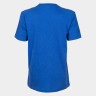 Футболка Arena TEAM T-SHIRT PANEL 004918-800