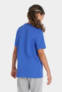 Футболка Arena TEAM T-SHIRT PANEL 004918-800